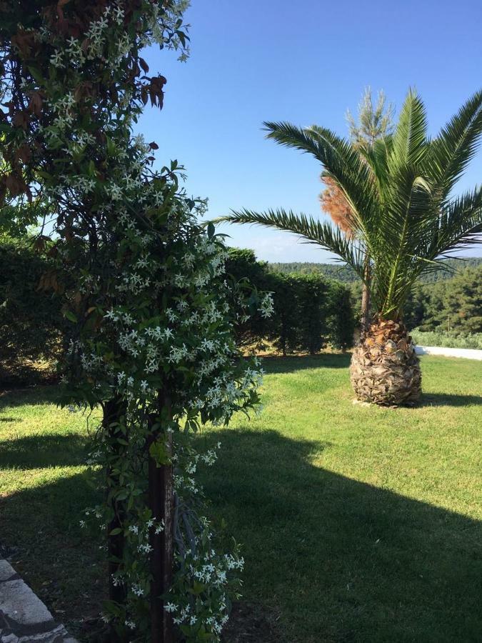 3 Bedroom Villa In Elani Villas Chalkidiki Siviri Bagian luar foto