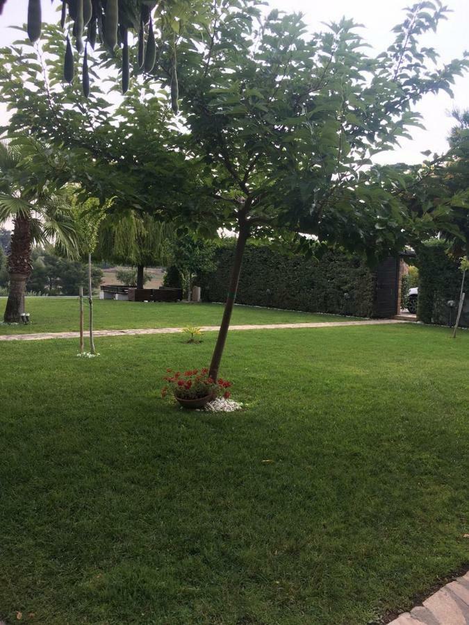 3 Bedroom Villa In Elani Villas Chalkidiki Siviri Bagian luar foto